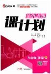 2023年全优点练课计划九年级化学下册人教版