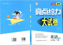 2023年亮点给力大试卷九年级英语下册译林版
