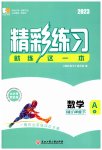 2023年精彩练习就练这一本八年级数学下册浙教版