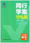 2023年同行学案学练测八年级数学下册人教版