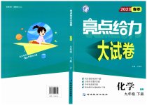 2023年亮点给力大试卷九年级化学下册人教版