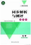2023年同步解析与测评学考练九年级化学下册人教版