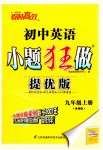 2023年小题狂做九年级英语上册译林版提优版
