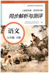 2023年人教金学典同步解析与测评八年级语文下册人教版