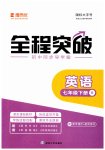 2023年全程突破七年级英语下册人教版