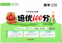 2023年王朝霞培优100分六年级数学下册人教版