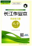 2023年长江作业本同步练习册九年级化学下册人教版