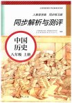 2023年人教金学典同步解析与测评八年级历史上册人教版