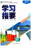2023年学习指要九年级化学下册人教版
