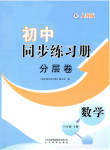 2023年同步练习册分层拓展八年级数学下册人教版