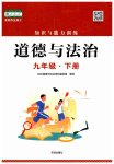 2023年知识与能力训练九年级道德与法治下册人教版