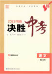 2023年通城学典决胜中考语文南通专用