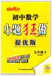 2023年小题狂做九年级数学下册苏科版提优版