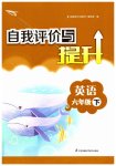 2023年自我评价与提升六年级英语下册译林版