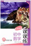 2023年课课练八年级数学下册苏科版