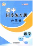 2023年同步练习册分层拓展七年级数学下册鲁教版54制