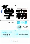 2023年经纶学典学霸九年级化学下册人教版