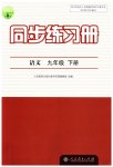 2023年同步练习册人民教育出版社九年级语文下册人教版江苏专版
