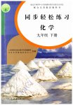 2023年同步轻松练习九年级化学下册人教版