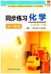2023年同步练习江苏九年级化学下册沪教版