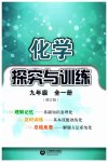 2023年探究与训练九年级化学全一册沪教版