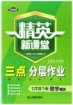 2023年精英新课堂七年级数学下册人教版
