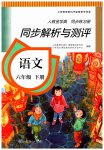 2023年人教金学典同步解析与测评六年级语文下册人教版