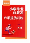 2023年实验班小学毕业总复习英语