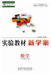 2023年实验教材新学案八年级数学下册人教版