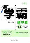2023年学霸题中题九年级物理下册苏科版