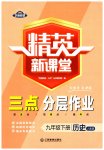 2023年精英新课堂九年级历史下册人教版