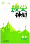 2023年拔尖特训七年级数学下册人教版