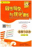 2023年同步导学与优化训练九年级道德与法治下册人教版