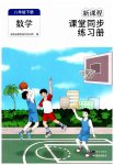 2023年新课程课堂同步练习册八年级数学下册人教版