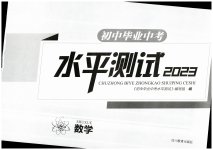 2023年初中毕业中考水平测试数学