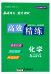 2023年高效精练九年级化学下册人教版