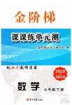 2023年金阶梯课课练单元测七年级数学下册人教版54制