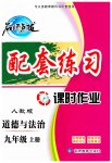 2023年名师点拨配套练习课时作业九年级道德与法治上册人教版