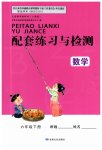 2023年配套练习与检测六年级数学下册人教版
