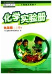 2023年化学实验册九年级上册人教版