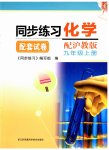 2023年同步练习配套试卷江苏科学技术出版社九年级化学上册沪教版