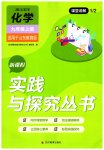 2023年新课程实践与探究丛书九年级化学上册鲁教版