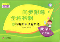 2023年同步跟踪全程检测六年级数学下册苏教版
