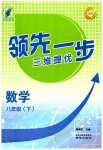 2023年领先一步三维提优八年级数学下册苏科版