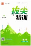 2023年拔尖特训八年级数学上册人教版