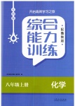 2023年综合能力训练八年级化学上册鲁教版54制