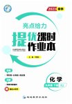 2023年亮点给力提优课时作业本九年级化学下册人教版