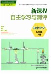 2023年新课程自主学习与测评九年级化学下册人教版