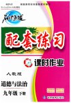 2023年名师点拨配套练习课时作业九年级道德与法治下册人教版
