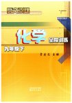 2023年启文引路九年级化学下册沪教版
